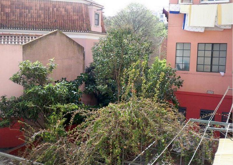 Estrela Cozy Apartment Lisboa Ngoại thất bức ảnh